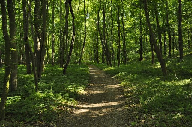 Wandern in Bayreuth