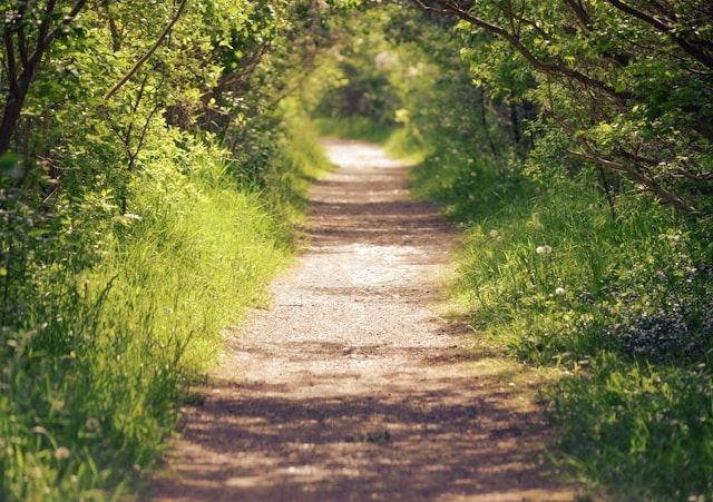 Wandern in Bayreuth